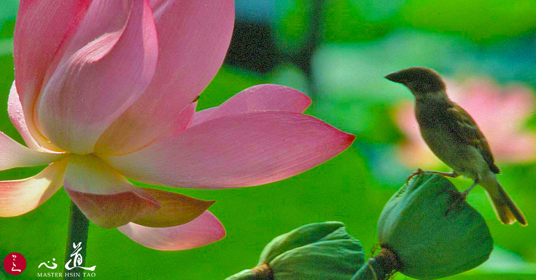 The Beauty of Interdependent Diversity