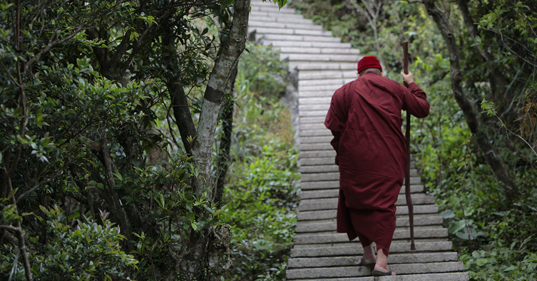 Let There Be in Life Blossoms of Wisdom -- Remarks by Dharma Master Hsin Tao on His Birthday