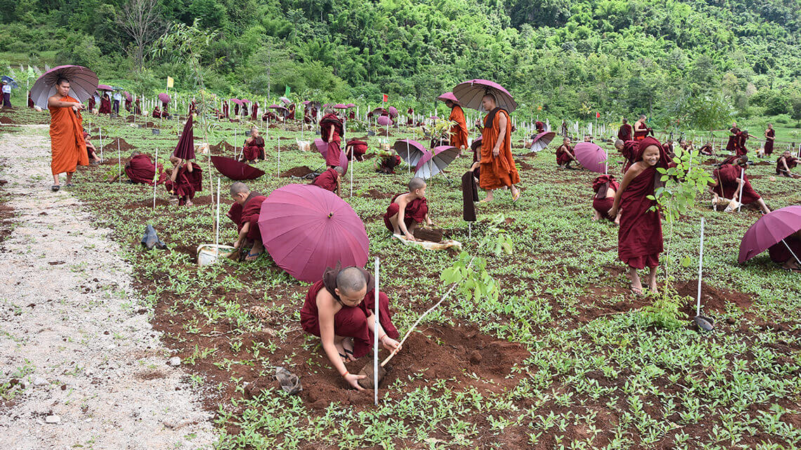 Ling Jiou Mountain implements ‘Thousand Trees A Forest’ finds Approval with Myanmar